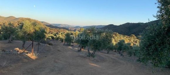 54m² Land in Cordoba, Spain No. 163673 16