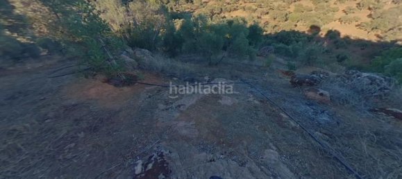 54m² Land in Cordoba, Spain No. 163673 6