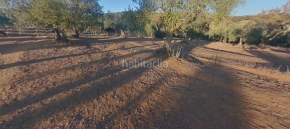 54m² Land in Cordoba, Spain No. 163673 4