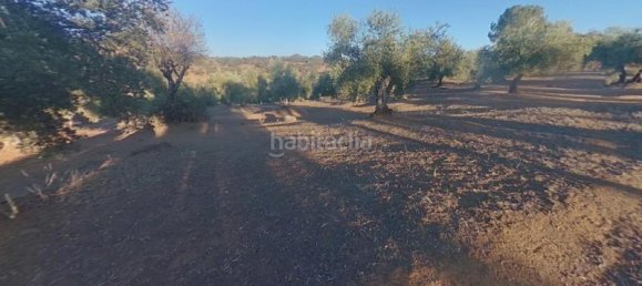 54m² Land in Cordoba, Spain No. 163673 9