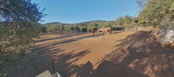 54m² Land in Cordoba, Spain No. 163673 10