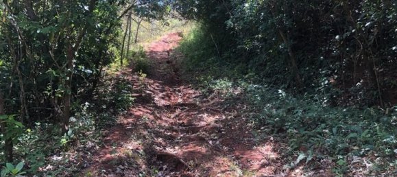  قطعة أرض في Santa Cruz, Costa Rica رقم 1585 3