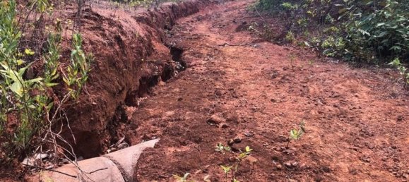  قطعة أرض في Santa Cruz, Costa Rica رقم 1585 4