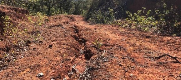  قطعة أرض في Santa Cruz, Costa Rica رقم 1585 5