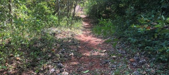  قطعة أرض في Santa Cruz, Costa Rica رقم 1585 2