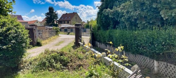 Ферма с 7 комнатами в Мансфельд-Зюдгарц, Германия № 145128 12