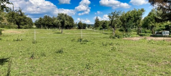 Ферма с 7 комнатами в Мансфельд-Зюдгарц, Германия № 145128 14