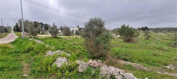 6532m² Land in Collepasso, Italy No. 39816