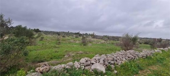 6532m² Land in Collepasso, Italy No. 39816 2