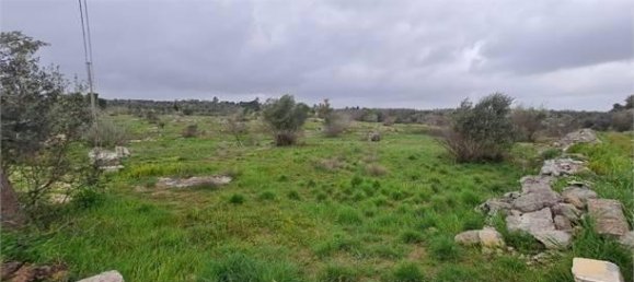 6532m² Land in Collepasso, Italy No. 39816 5