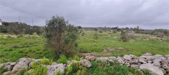 6532m² Land in Collepasso, Italy No. 39816 4