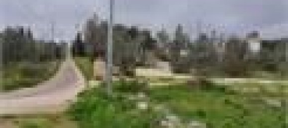 6532m² Land in Collepasso, Italy No. 39816 3