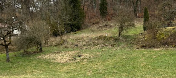 Grundstück in Waldshut, Germany, Nr. 3886 4