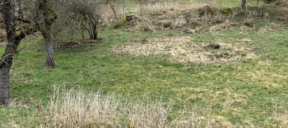 Grundstück in Waldshut, Germany, Nr. 3886 2