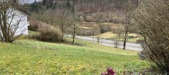 Grundstück in Waldshut, Germany, Nr. 3886 5