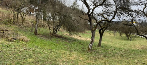 Grundstück in Waldshut, Germany, Nr. 3886 3