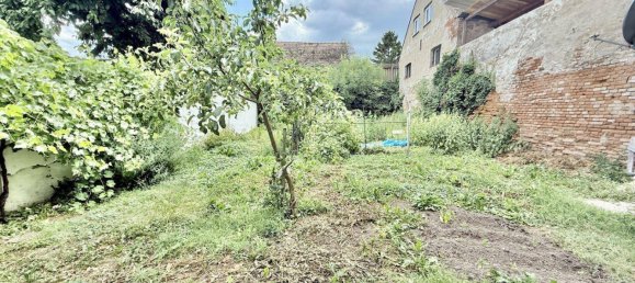 3 rooms Apartment in Traismauer, Austria No. 157543 10