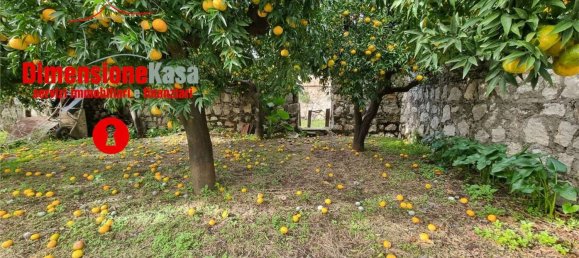 7 rooms Villa in Marzano di Nola, Italy No. 175305 19