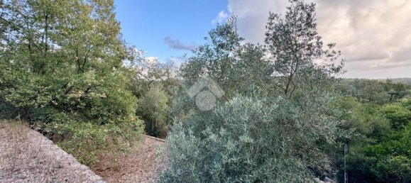 3 Schlafzimmer Wohnung in Rome, Italy, Nr. 329424 7