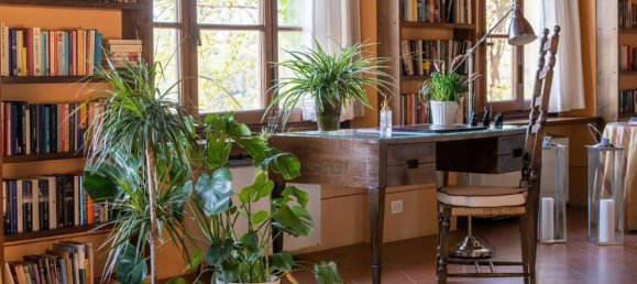 20 rooms Villa in Lucca, Italy No. 50814 30