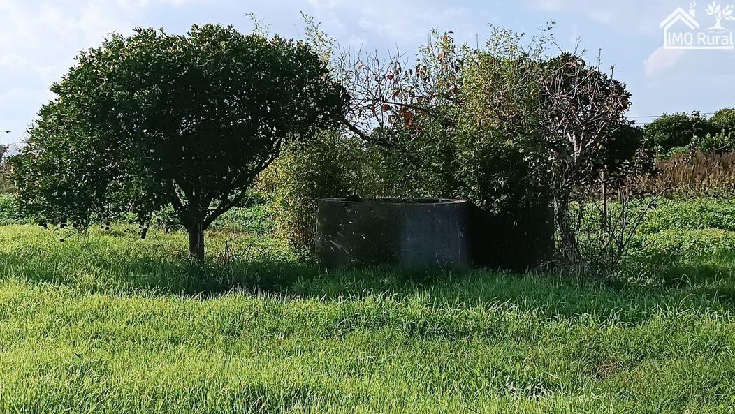 6920m² Land in Alpiarca, Portugal No. 203445