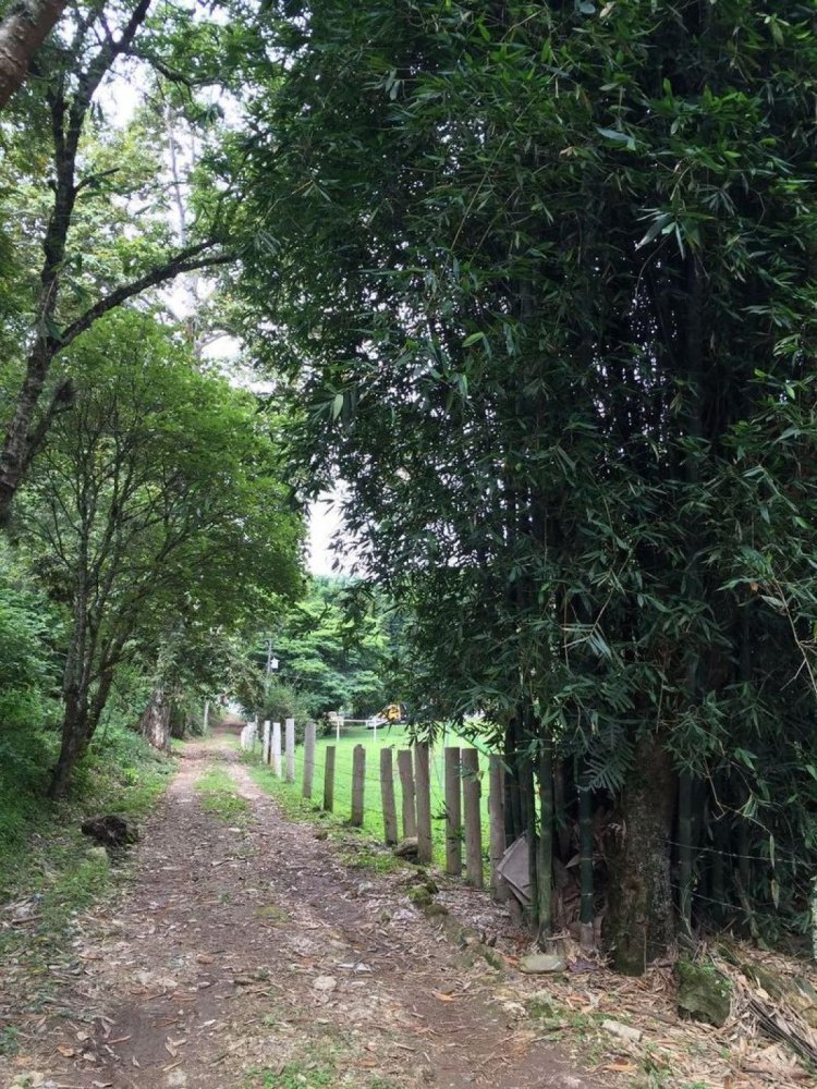  قطعة أرض في Veracruz, Mexico رقم 202630