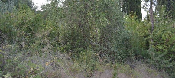 5800m² Hotel in Corfu, Greece No. 4078 6