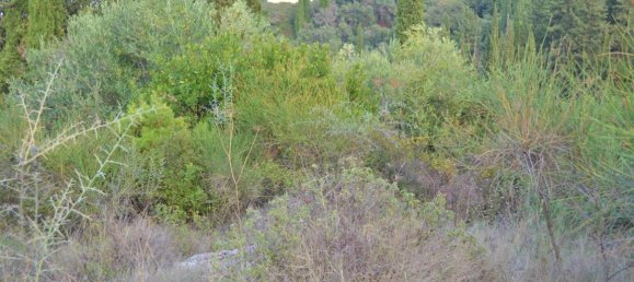 5800m² Hotel in Corfu, Greece No. 4078 7