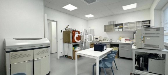 5-Zimmer Gewerbliche Immobilie in Rome, Italy, Nr. 352287 43