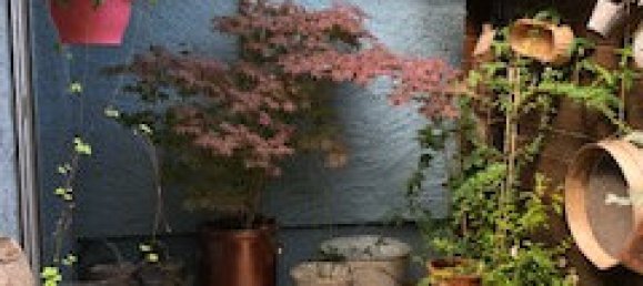 3 Schlafzimmer Haus in Sarraltroff, France, Nr. 90571 12