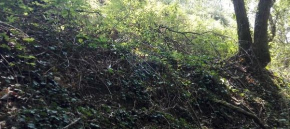 8550m² Land in Oliveira de Frades, Portugal No. 50652 5