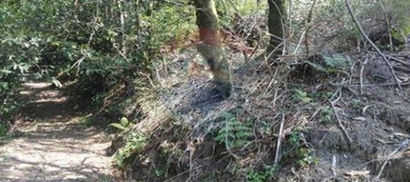 8550m² Land in Oliveira de Frades, Portugal No. 50652 9