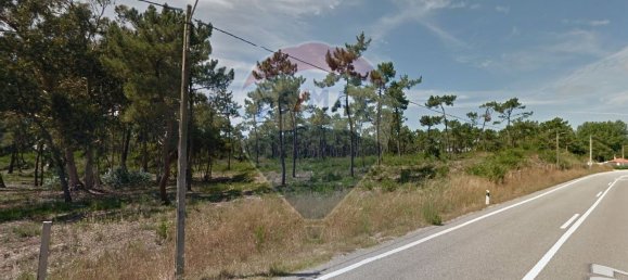 209741m² Land in Sao Jacinto, Portugal No. 76229 5