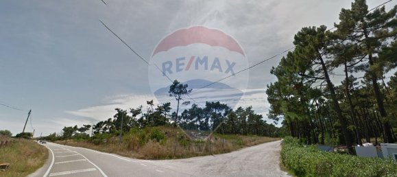 209741m² Land in Sao Jacinto, Portugal No. 76229 2