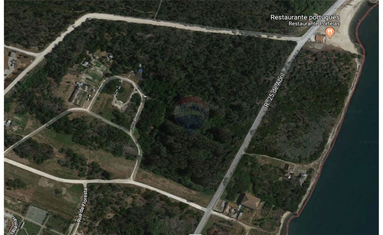 209741m² Land in Sao Jacinto, Portugal No. 76229