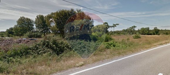 209741m² Land in Sao Jacinto, Portugal No. 76229 4