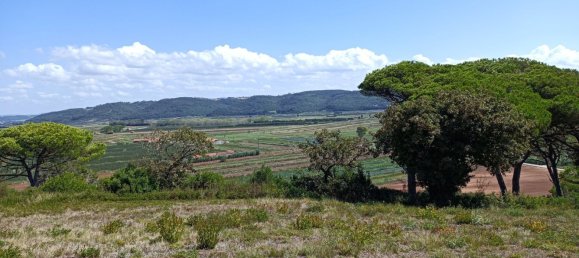 3304m² Land in Nazare, Portugal No. 144823 2