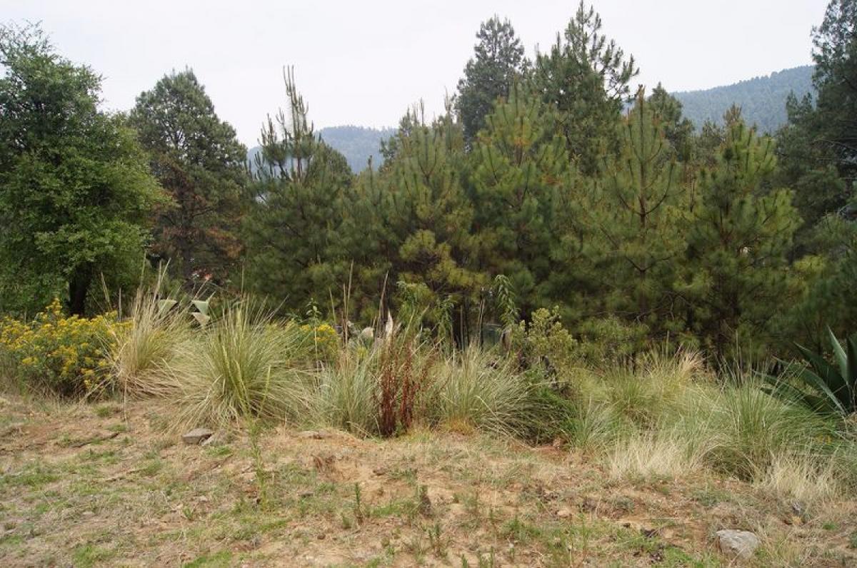 Grundstück in Lerma, Mexico, Nr. 204971