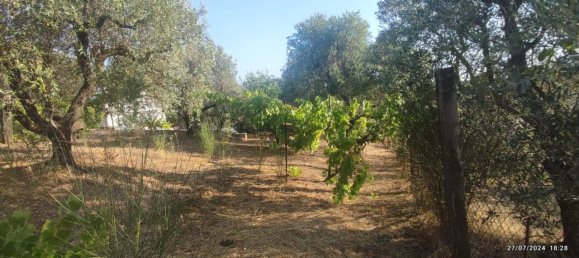 Villa de 4 habitaciónes en Velletri, Italy No. 88826 28