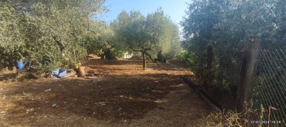 Villa de 4 habitaciónes en Velletri, Italy No. 88826 27