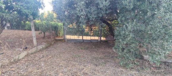 Villa de 4 habitaciónes en Velletri, Italy No. 88826 26