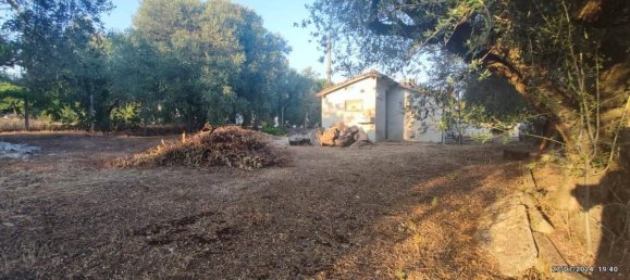 Villa de 4 habitaciónes en Velletri, Italy No. 88826 22