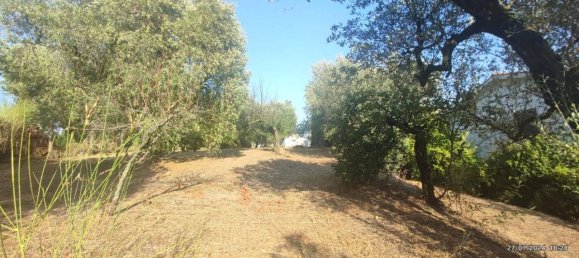 Villa de 4 habitaciónes en Velletri, Italy No. 88826 21