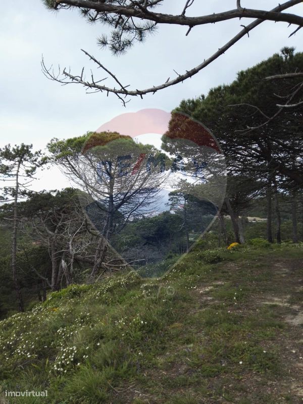 812m² Land in Mafra, Portugal No. 58367