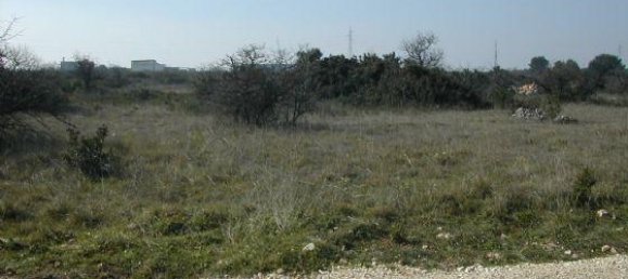 7280m² Land in Crispiano, Italy No. 111662 3