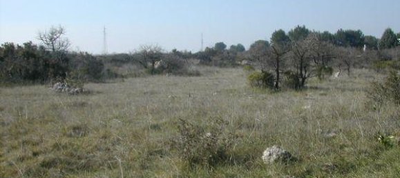 7280m² Land in Crispiano, Italy No. 111662 2