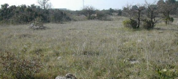 7280m² Land in Crispiano, Italy No. 111662 5