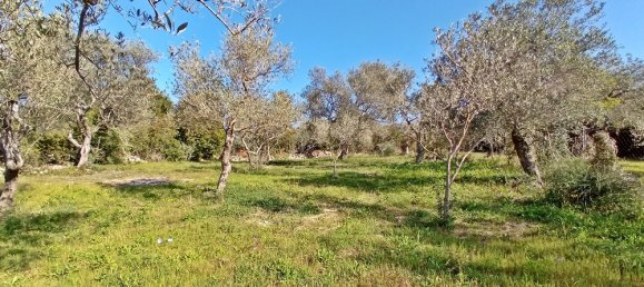 Terreno en Sorso, Italy 3400 m² No. 41383 6