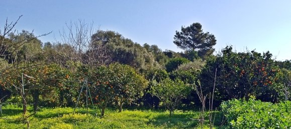 Terreno en Sorso, Italy 3400 m² No. 41383 9