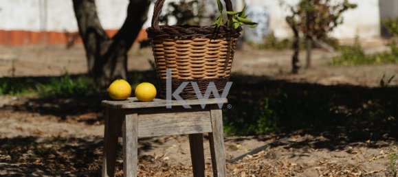 5 bedrooms Land in Porches, Portugal No. 130862 3